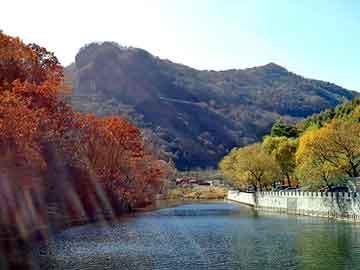 新澳天天开奖资料大全旅游团，水牛养殖基地